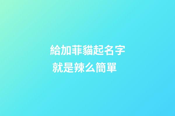 給加菲貓起名字 就是辣么簡單